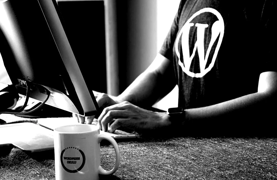 fikret-tozak-Zk-Ydz2IAs-unsplash-owipo1ugqzy6lw8q1i1atdd63yyh4bhw542t0k80ns